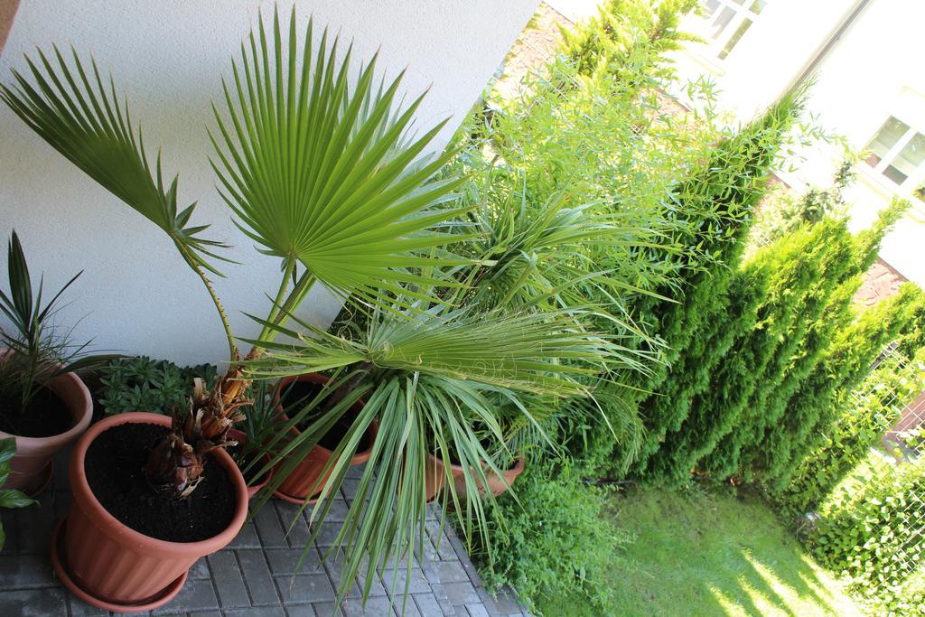 Bamboo Wellness Apartment Siofok Exterior photo